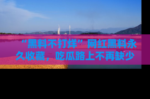 “黑料不打烊”网红黑料永久收藏,吃瓜路上不再缺少惊喜与乐趣