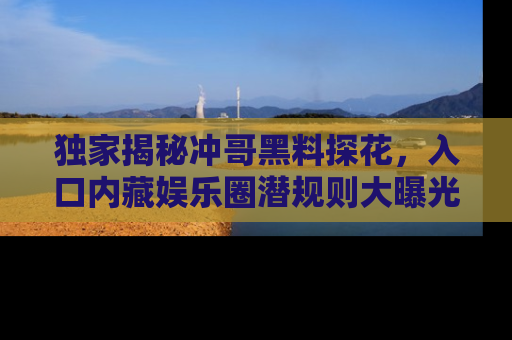 独家揭秘冲哥黑料探花,入口内藏娱乐圈潜规则大曝光