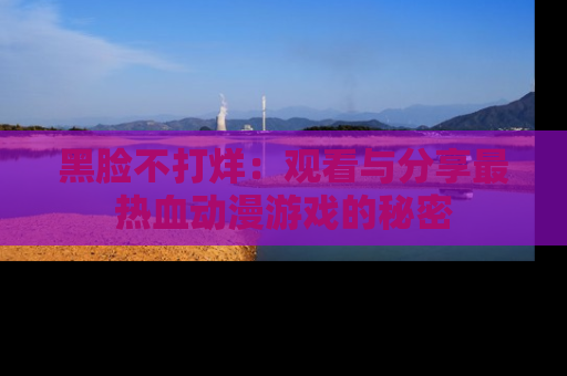 黑脸不打烊:观看与分享最热血动漫游戏的秘密