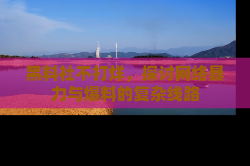 黑料社不打烊,探讨网络暴力与爆料的复杂线路