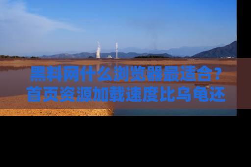 黑料网什么浏览器最适合?首页资源加载速度比乌龟还慢的体验真心吐槽!