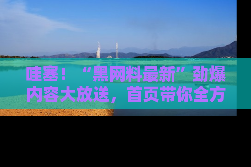 哇塞!“黑网料最新”劲爆内容大放送,首页带你全方位了解哦,小可爱们