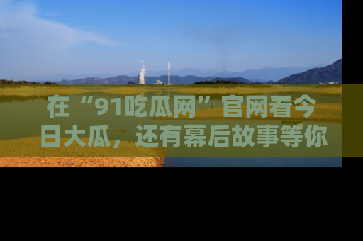 在“91吃瓜网”官网看今日大瓜,还有幕后故事等你来挖掘!
