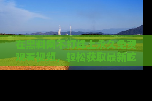 在黑料网不打烊上永久免费观看视频,轻松获取最新吃瓜资讯!