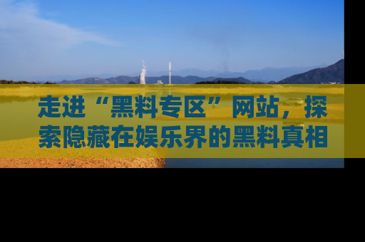走进“黑料专区”网站,探索隐藏在娱乐界的黑料真相