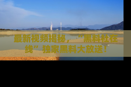 最新视频揭秘,“黑料社在线”独家黑料大放送!